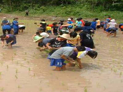 Dạy giới trẻ học làm nông