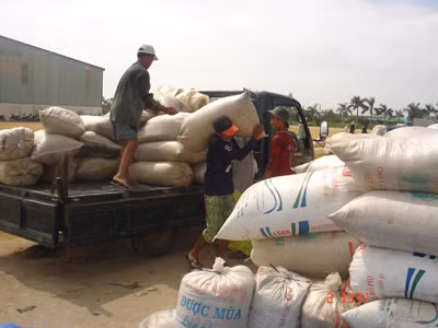 Doanh nghiệp vật vã cạnh tranh giá rẻ