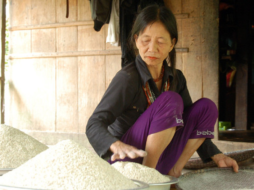 Bệnh ‘lạ’ ở Quảng Ngãi là bệnh ghẻ cóc?