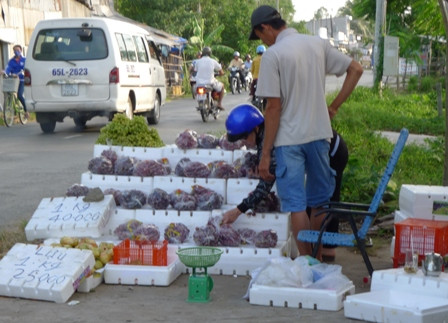 Siêu lợi nhuận từ bán nho Mỹ ‘dỏm’