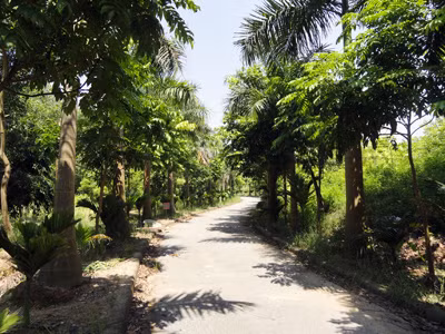 Ngân sách thành phố vừa chi 17 tỷ làm Vườn thực vật, nay lại đồng ý cho làm khu đô thị sinh thái