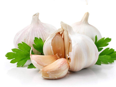 Phát hiện cơ chế giảm mỡ máu, giảm béo của dầu tỏi tía