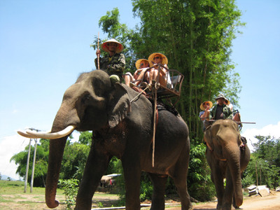 Cưỡi voi ngắm cảnh ở Buôn Jun