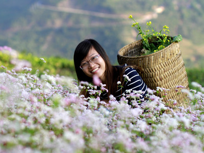 Mùa hoa - mùa phượt