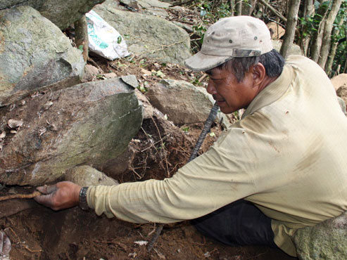 Truy lùng thuốc ‘trị ung thư’