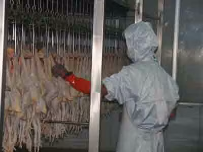 Chăn nuôi vẫn trong vòng luẩn quẩn