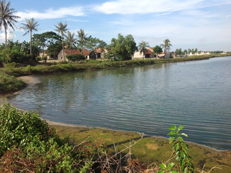 Ám ảnh những cái chết bất đắc kỳ tử