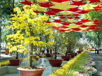 TPHCM tổ chức 40 điểm bán hoa Tết