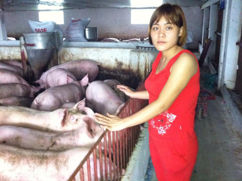 Học du lịch, phát nhờ chăn nuôi