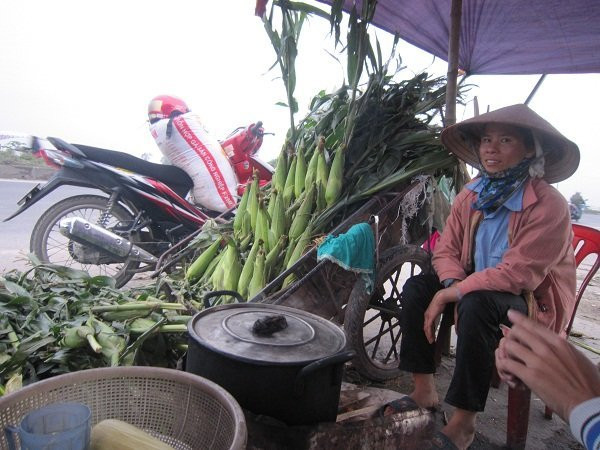 Bán ngô, kiếm bạc triệu mỗi ngày