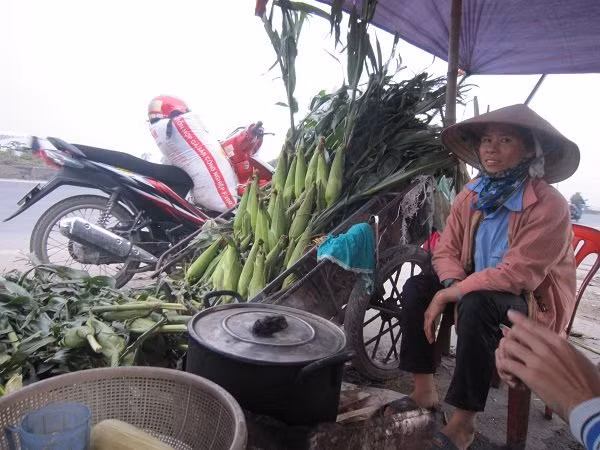 Bán ngô, kiếm bạc triệu mỗi ngày