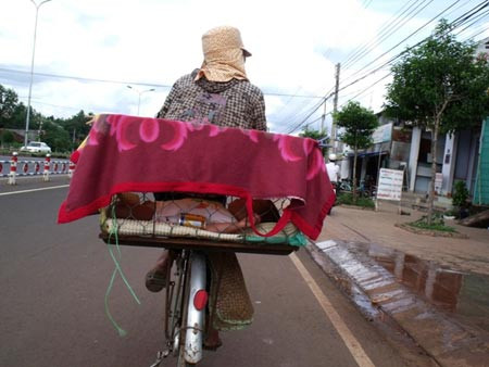 Mẹ bỏ con vào lồng đi bán vé số