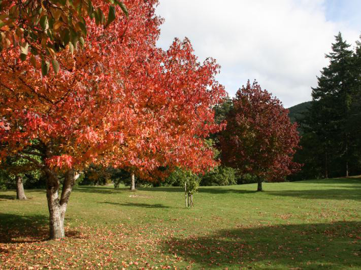 Nét đẹp Wellington - New Zealand