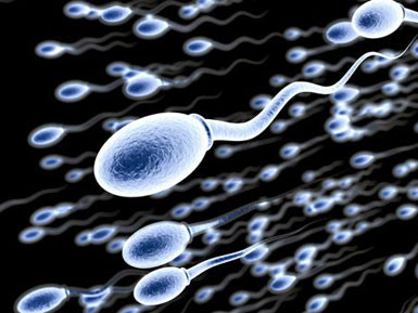 Xuất tinh ngược và nguy cơ hiếm muộn