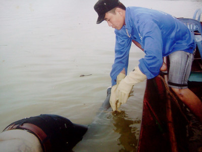 'Hiệp sỹ' sông Lô