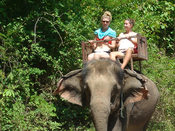 Cưỡi voi giữa miền đất di sản thế giới