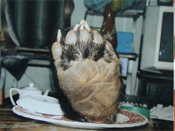 Thú ăn chơi 'biến thái' của đại gia