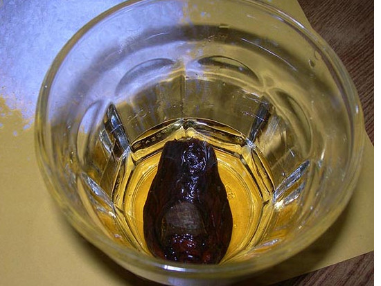 Cocktail ngâm... ngón chân người