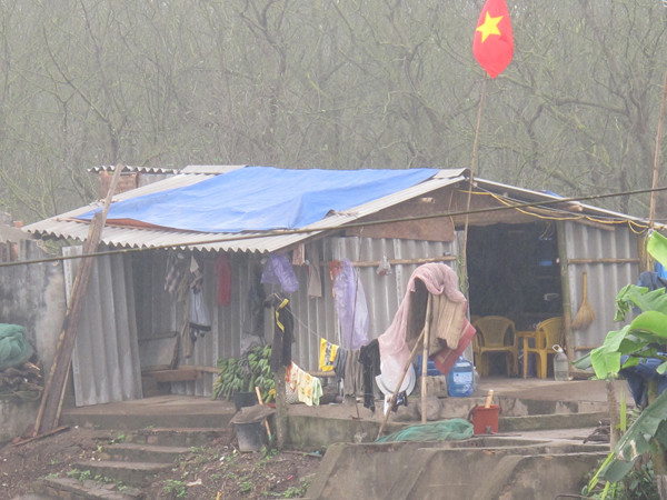 Ngôi nhà vợ con ông Vươn dựng tạm để ở Ảnh: P.D