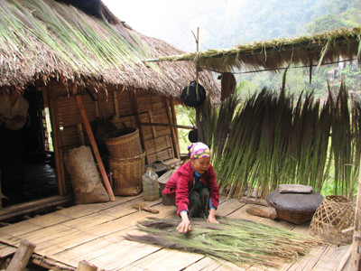 Đồng bào Thái ở xã Tam Chung, huyện Mường Lát (Thanh Hóa) đang phơi cây đót mới hái để bán	Ảnh: Hoàng Lam