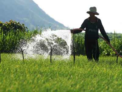 CLB thanh niên 'Vươn khơi bám biển Hoàng Sa'