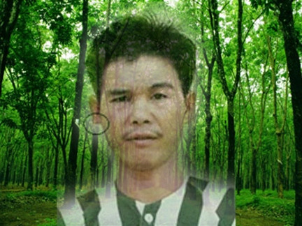 ‘Yêu râu xanh’ chuyên rình rập trong rừng cao su