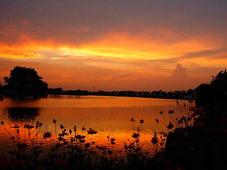 Bên dòng Mê Kông xứ Triệu Voi