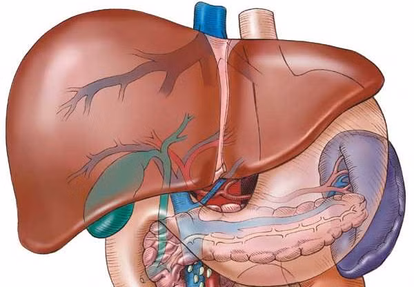 Các yếu tố làm tăng nguy cơ mắc ung thư gan