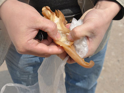 Trung Quốc phát hiện tai lợn luộc giả làm bằng chất gây ung thư