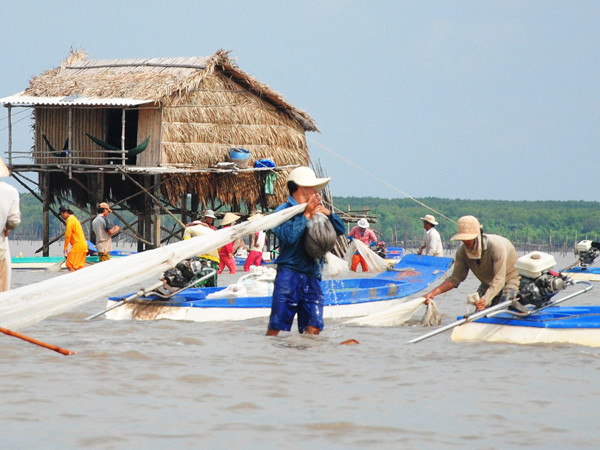 Trả bãi nghêu Đất Mũi cho dân