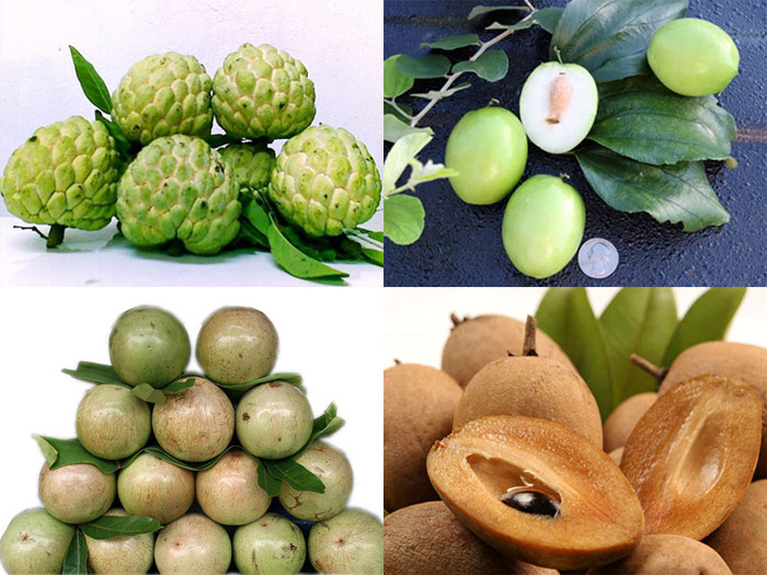 12 loại trái cây càng ăn càng nổi mụn