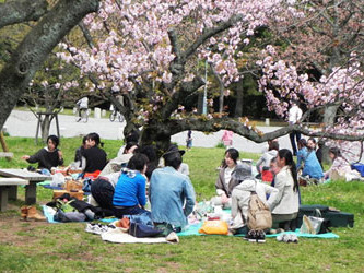 Chuyện học và phượt của du học sinh