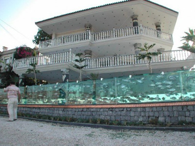 Độc đáo biệt thự với hàng rào... bể cá