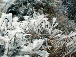 Sa Pa xuất hiện băng tuyết ở điểm cao từ 2.000m