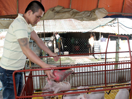 ‘Ngựa chứng’ quay đầu