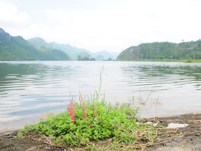 Đắng lòng tiễn đưa tám nữ học sinh đuối nước