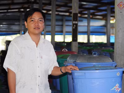 Vua dế Thanh Tùng trong trang trại dế