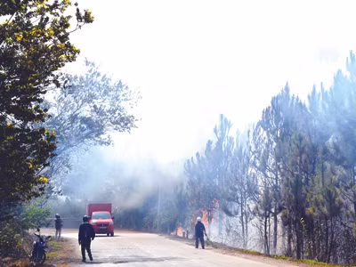 Nhiều vụ cháy rừng trong một ngày