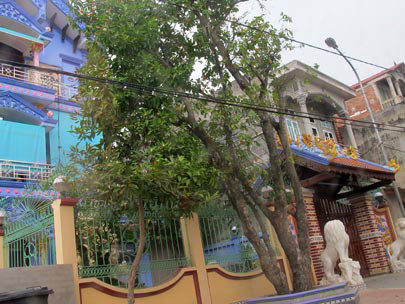 Vợ chồng 'cậu Thủy' và những màn kịch 'cúng được vàng', tìm được mộ