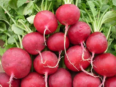 Tác dụng chữa bệnh ít biết của củ cải đỏ