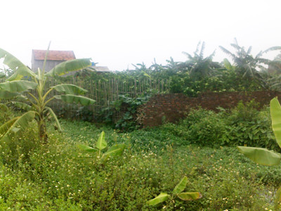 Những mảnh đất được “cò” quảng cáo sẽ nằm cạnh trục tây Thăng Long với giá 30-40 triệu đồng/m2