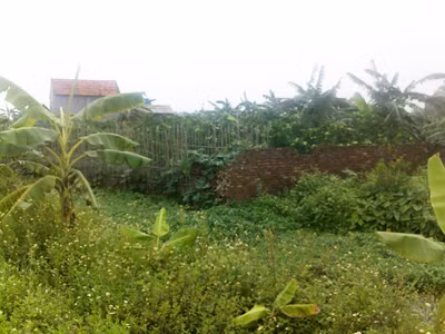 Những mảnh đất được “cò” quảng cáo sẽ nằm cạnh trục tây Thăng Long với giá 30-40 triệu đồng/m2