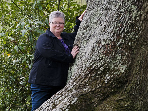 Phải lòng một... cây sồi