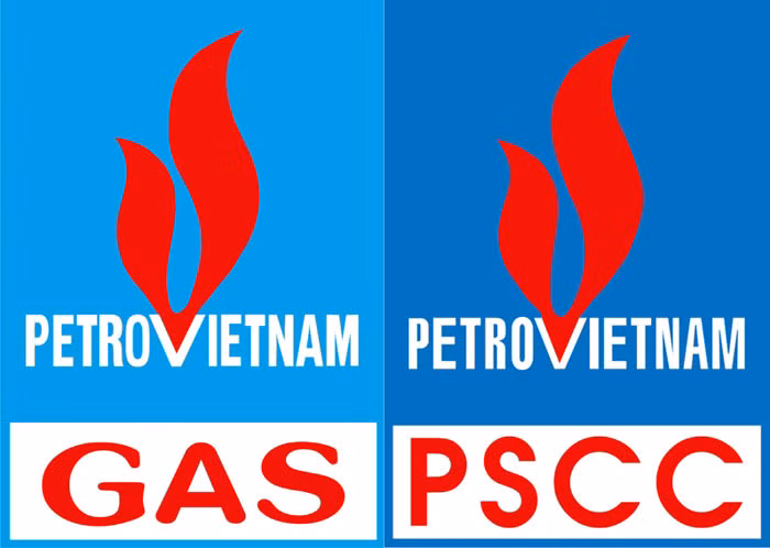 Kết quả tuần 10, câu hỏi tuần 11