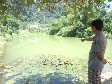 Cá chết trắng ao, chó mèo biến dạng