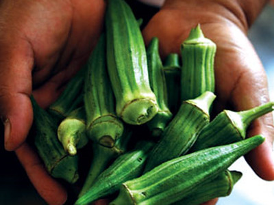 Uống nước đậu bắp trị tiểu đường?