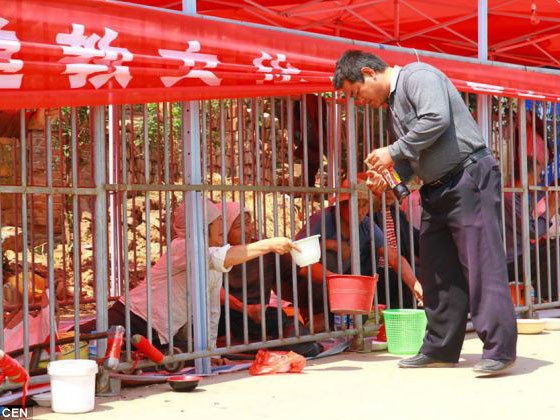 Tự nhốt mình trong lồng sắt để ...ăn xin