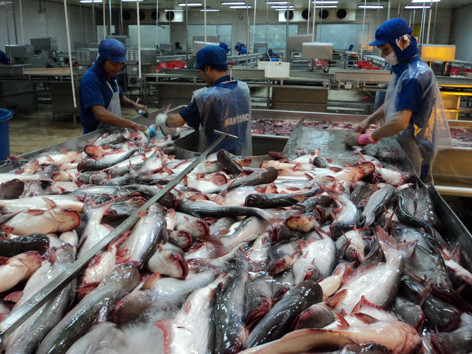 Sau tái cơ cấu, nhiều doanh nghiệp thủy sản tìm được lối đi