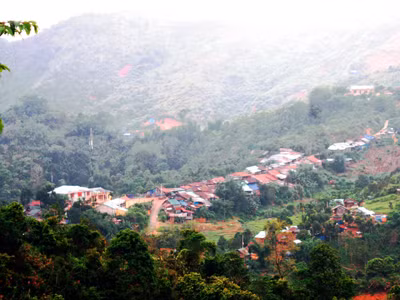 Vọng phu xứ vàng