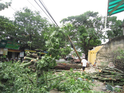 Bão số 6 làm 6 người chết, mất tích